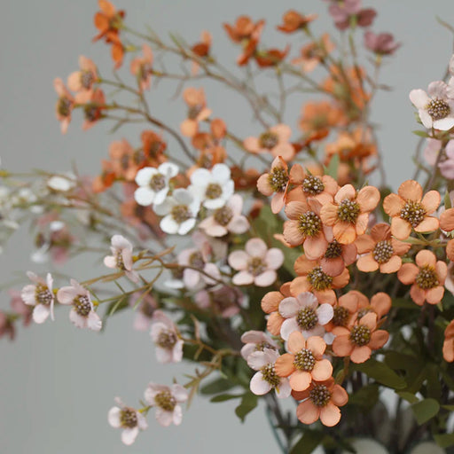 Varita Flor de Ciruelo Blanco