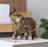 Estatuilla Elefante Dorado Decorado
