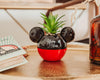 Maceta Ceramica Mickey