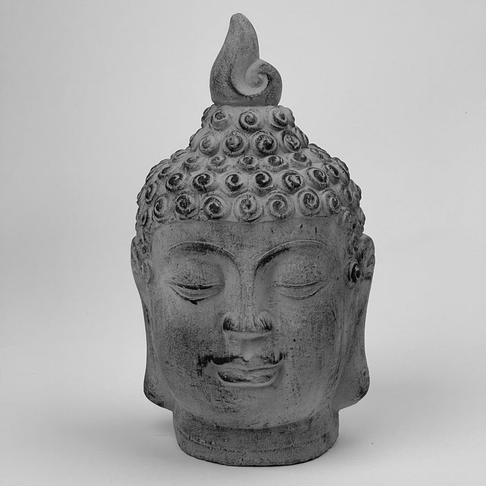 Cabeza de Buda Cemento Mediana