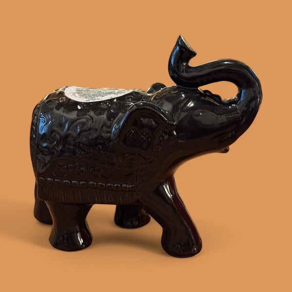 ELEFANTE NEGRO CAMINANDO