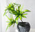 Palmera artificial 36 cms