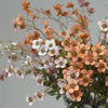 Varita Flor de Ciruelo Blanco