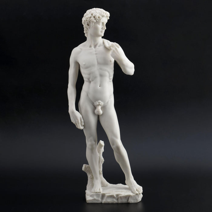 Escultura David de Miguel Angel