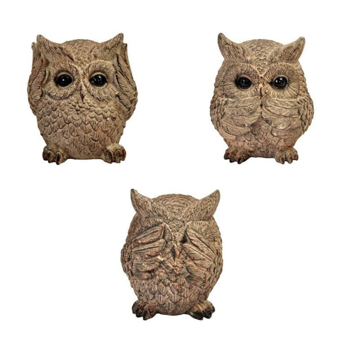 Set 3 Búhos Sabios