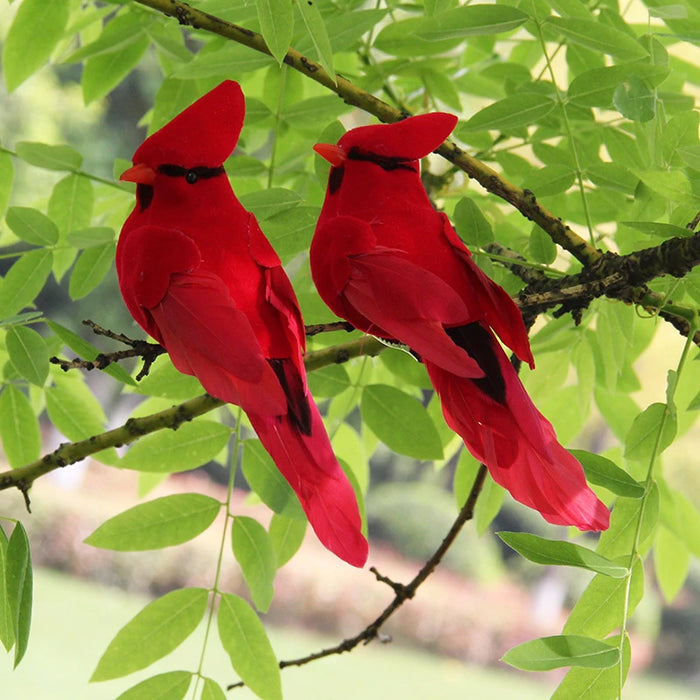 Pájaro Cardenal Rojo Petirrojo