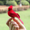 Pájaro Cardenal Rojo Petirrojo