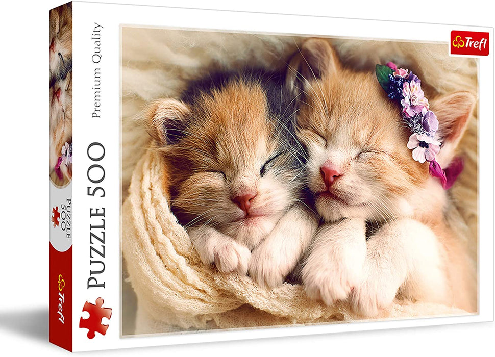 Rompecabezas Dos Gatitos Durmiendo