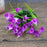 Ramo de alcatraz morado 25 flores
