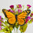 Mariposa Monarca