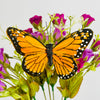 Mariposa Monarca