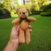 Mini Teddy Bear Oso Mascota