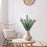 Vara Eucalipto