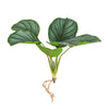 Planta Artificial Leaf Apple